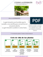 Germinación PDF