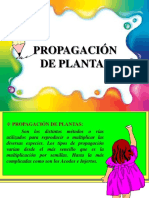 Propagacion