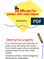 Nursing Care Plan Renal Failure