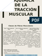 Bioquímica de La Contracción Muscular