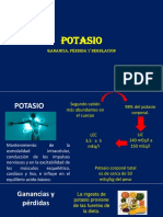 Potasio Fisiopatología