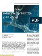 Neurociencia, Memoria, Aprendizaje y Educación