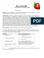 Strawberry Dna Lab and Analysis Questions