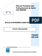 Projet Pedagogique Ecole IADE Promotion 16 18 PDF