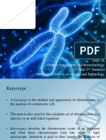 Karyotyping