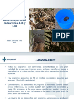 Guía de Principales Ofidios Reportados en Bajo Urubamba