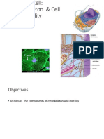 The Cytoskeleton and Cell Motility