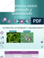 Diferencia Entre Autótrofo y Heterótrofo