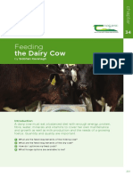 Feeding Diary Cow