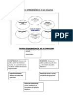 Cadena Epidemiologica de La Malaria