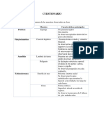 Clasificacion de Invertebrados