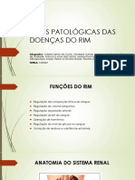 Bases Patológicas Das Doenças Dos Rins