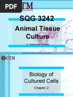 Animal Tissue Culture: Dr. Salehhuddin Hamdan