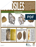 Los Fosiles PDF