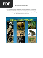 Los Animales Vertebrados Y VERTEBRADOS