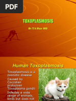 Toxoplasmosis