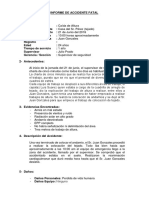 Informe Accidente Trabajo Caida de Altura