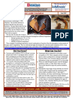 201906beaconenglish-Corrosion Under Insulation