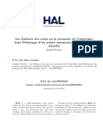 Les Surfaces Des Corps Ou La Promesse de L Empreinte Dans Pèlerinage D Un Artiste Amoureux, de Abdelkébir Khatibi