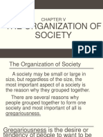 The Organization of Society