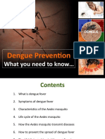 Dengue Prevention: What You Need To Know