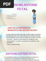 Eritroblastosis Fetal 2019