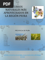 Recursos Naturales Más Aprovechados en La Región Piura