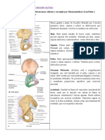 Estudiar Global y Gym 1 PDF