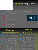 Composición de La Leche Materna