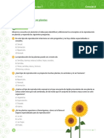 Cien 8 b3 p3 Est PDF