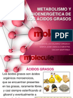 Diapositivas - Bioquimica - Acidos Grasos