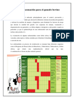 Plan de Vacunación para El Ganado Bovino Genesis