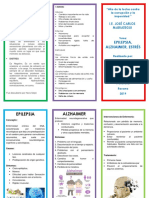 Triptico Epilepsia