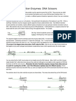 Restriction Enzymes Practice