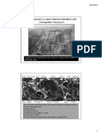 Flood Basalts