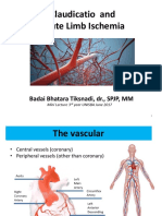 Acute Limb Ischemia and Claudication Unisba 2017