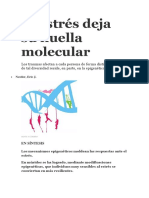 El Estrés Deja Su Huella Molecular