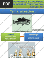 6.2. Aireación en TBF LFCL - YKJO Ok