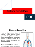 Sistema Circulatorio