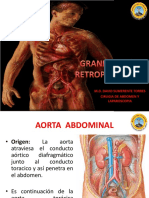 Grandes Vasos RetroPeritoneo