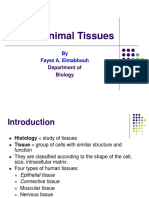 Animal Tissues: by Fayez A. Elmabhouh