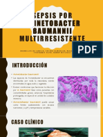 Sepsis Por Acinetobacter Baumannii Multirresistente