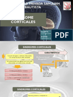 Sindromes Corticales 2