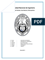 Informe de Nucleos 2