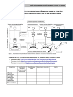 1633-2019-03-29-Práctica 4. Rata Virtual