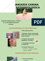 Leishmaniasis Canina