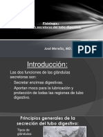 Funciones Secretoras Del Tubo Digestivo