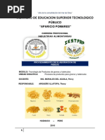 Informe de Fideo