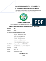 INFORME