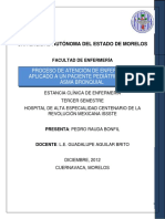 Proceso de Atención de Enfermería A Paciente Pediátrico Con Asma Bronquial